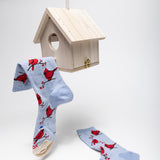 Pair of socks with red bird design hanging from a wooden birdhouse on a white background thumbnail